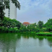 Mặt phố Âu Cơ 204m2 mặt tiền 8,1m, 1 mặt phố 1 mặt ngõ, Giá đầu tư