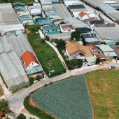 Cho thuê đất Võ Trường Toản Phường 8 Đà Lạt 1200m2