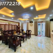 Mặt tiền xe hơi kinh doanh, phân lô dân cư hiện hữu, ngang 5m, Bông Sao.
