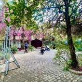 Bán đất tặng biệt thự sân vườn 1200m2 MT Huỳnh Tấn Phát, Nhà Bè, 64 tỷ 8