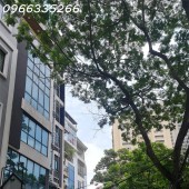 Bán Nhà Ngõ Ô Tô tránh Phố Nguyễn Chánh, Sổ Hồng sẵn, Giá 14,5 Tỷ