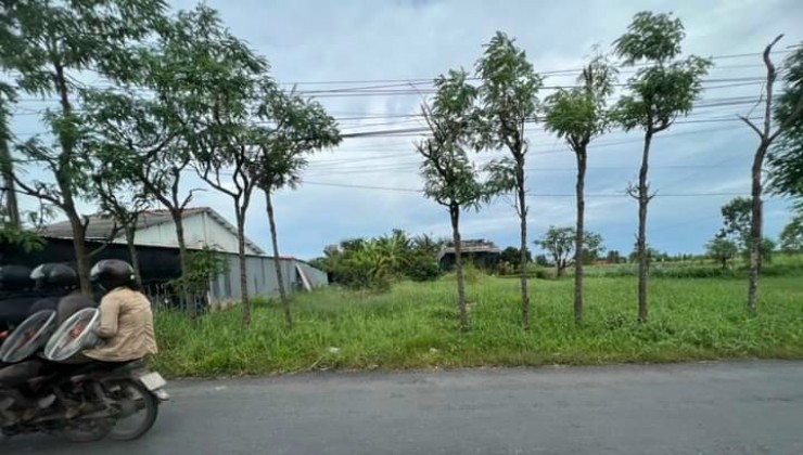 CHÍNH CHỦ CẦN BÁN ĐẤT TẠI ẤP LÁNG, XÃ TÂN THÀNH, HUYỆN GÒ CÔNG ĐÔNG