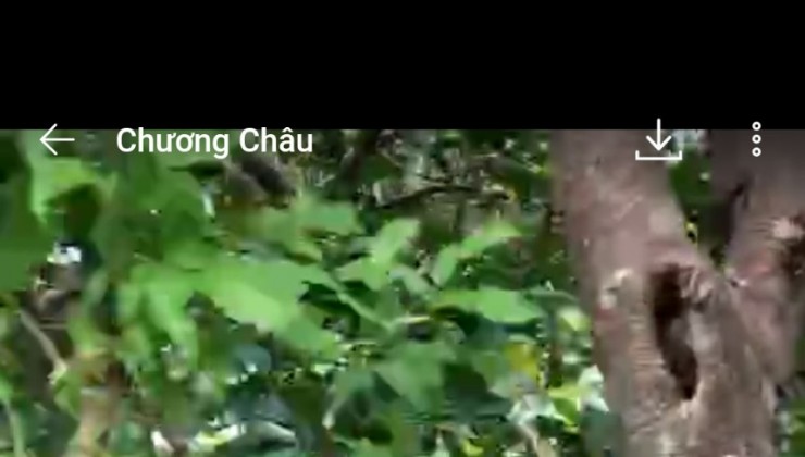 NHÀ + ĐẤT CHÍNH CHỦ - GIÁ TỐT - Vị Trí Đẹp Tại 368 Ấp Tân Trong, Xã Tân Mỹ, Huyện Lấp Vò, Đồng Tháp