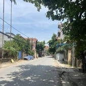 Cần b.á.n gấp lô đất 42,8m²  Bắc Hồng  1,x tỷ.