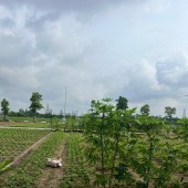 ĐẤU GIÁ X8 HÀ PHONG, LIÊN HÀ, ĐÔNG ANH - HẠ TẦNG SIÊU ĐẸP
Ngay gần trường THPT Liên Hà, UBND xã Liên Hà