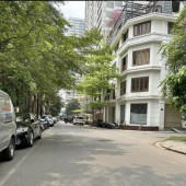 Siêu hiếm liền kề Nguyễn Trãi sống đẳng cấp 95m, 29 tỷ.