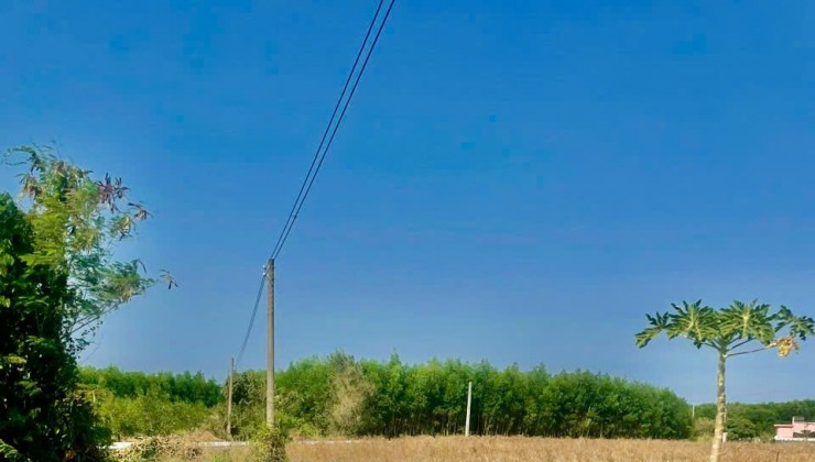 chủ cần bán 1 sào 800 mét vuông đất Láng Dài, Đất Đỏ. Có sẵn 400 mv đất thổ cư.
Mặt tiền đường betong dài 50m. Phù hợp phân lô.