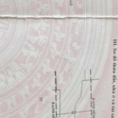 Mảnh đất vàng với diện tích lớn 1.350m² (ngang 35m, dài 38m), giá cực kỳ hấp dẫn chỉ 32 tỷ, nằm ngay trung tâm Quận 7, cách mặt tiền Huỳnh Tấn Phát