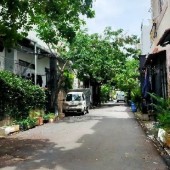 Sở hữu nhà Bình Tân, giảm còn 4.3 tỉ, (5x17)m2, gần công viên KDC Vĩnh Lộc. Nhà đẹp ở ngay.