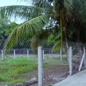 Chính Chủ bán 500m2 Đất mặt tiền đường An Sơn 32, Xã An Sơn, Thuận An, Bình Dương Lh 0949866116