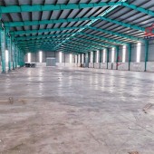kết cấu hiện đại, cho thuê tiếp nhận kho bãi , xưởng sản xuất gồm nhiều lĩnh vực