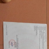 Com bo 3 lô  473 đất 27.2 .6,728 tỷ đường trục huyện thôn chấp trung 2, xã Đoan Hùng huyện Hưng Hà