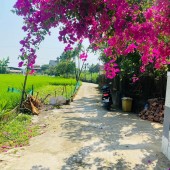 Đất Đại Nghĩa - Đại Lộc diện tích lớn thích hợp làm nhà vườn